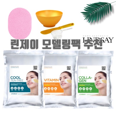 1.린제이 모델링팩 에스테틱 피부관리샵용 1kg + 고급팩도구 4종 (해면추가), 1개_이미지(imge)입니다.